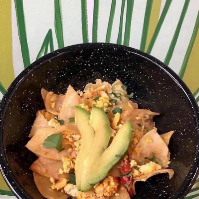Home - Succulent Vegan Tacos